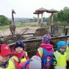IMG_20190520_103453 (1)